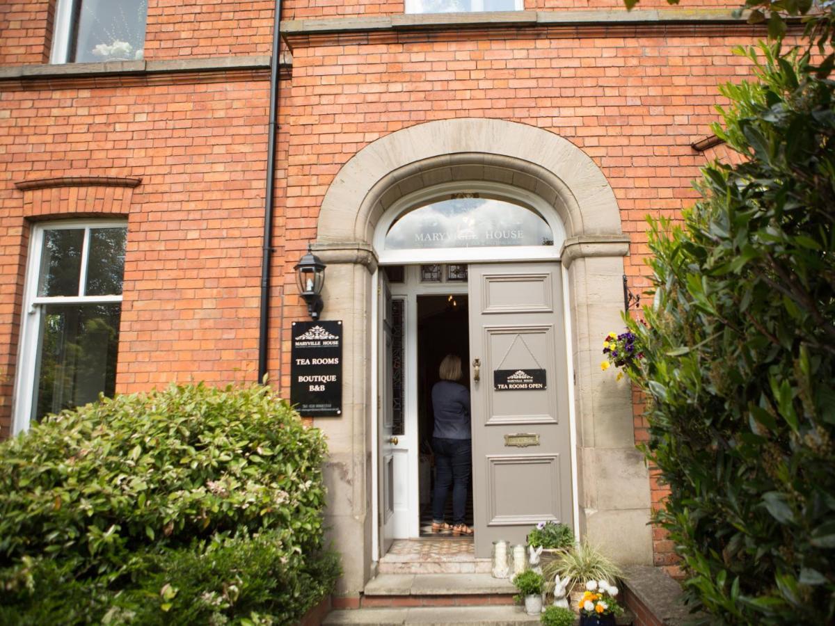 Maryville House Belfast Exteriér fotografie